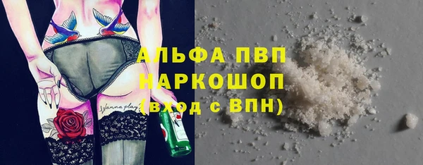 шишки Алзамай
